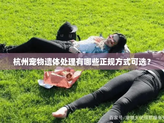 杭州宠物遗体处理有哪些正规方式可选？