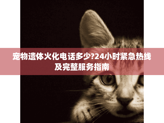 宠物遗体火化电话多少?24小时紧急热线及完整服务指南