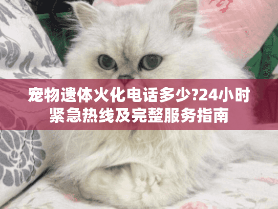 宠物遗体火化电话多少?24小时紧急热线及完整服务指南