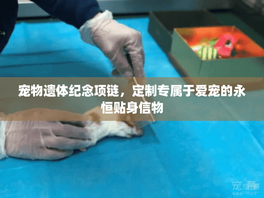 宠物遗体纪念项链，定制专属于爱宠的永恒贴身信物