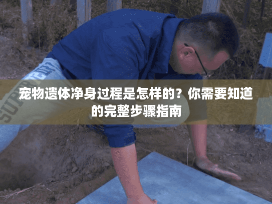 宠物遗体净身过程是怎样的？你需要知道的完整步骤指南