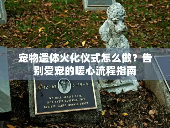 宠物遗体火化仪式怎么做？告别爱宠的暖心流程指南