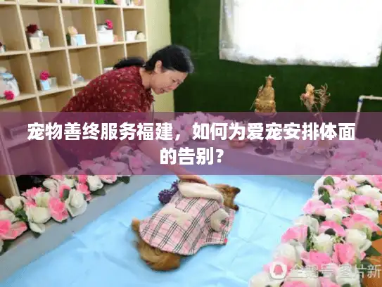 宠物善终服务福建，如何为爱宠安排体面的告别？