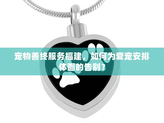 宠物善终服务福建，如何为爱宠安排体面的告别？