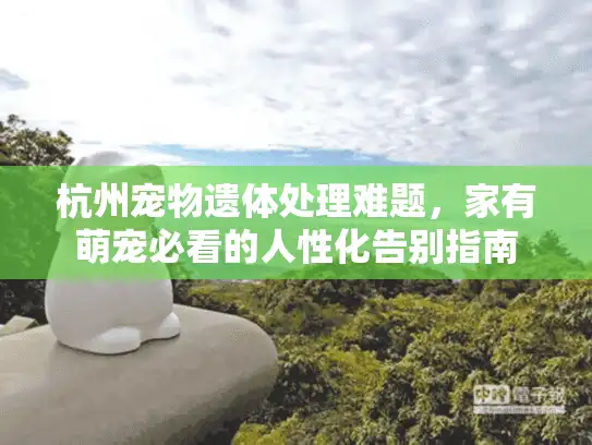 杭州宠物遗体处理难题，家有萌宠必看的人性化告别指南