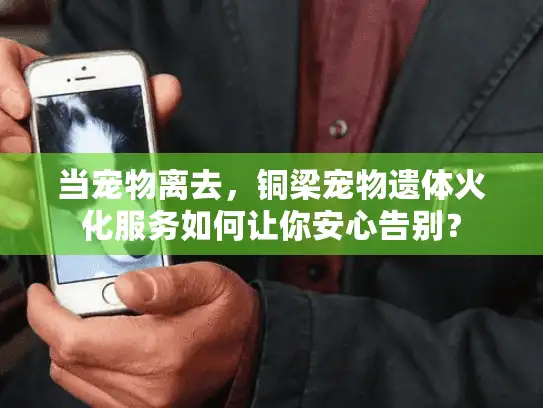 当宠物离去，铜梁宠物遗体火化服务如何让你安心告别？
