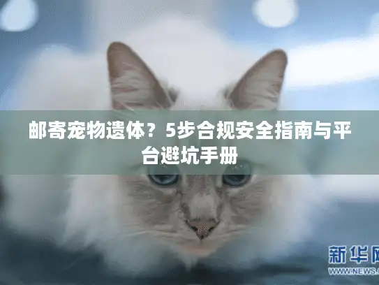 邮寄宠物遗体?5步合规安全指南与平台避坑手册 邮寄宠物遗体?5步合规安全指南与平台避坑手册