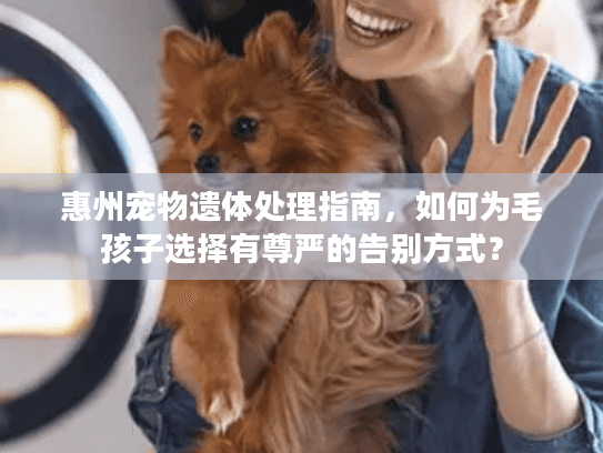 惠州宠物遗体处理指南，如何为毛孩子选择有尊严的告别方式？