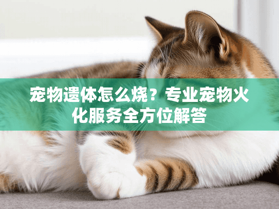 宠物遗体怎么烧？专业宠物火化服务全方位解答