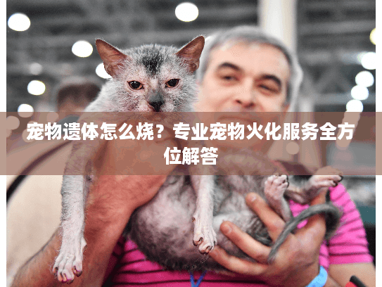宠物遗体怎么烧？专业宠物火化服务全方位解答