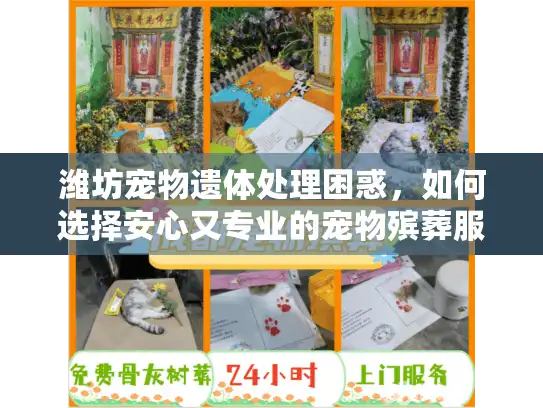 潍坊宠物遗体处理困惑,如何选择安心又专业的宠物殡葬服务? 潍坊宠物遗体处理困惑,如何选择安心又专业的宠物殡葬服务?