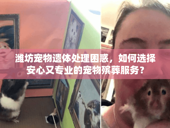 潍坊宠物遗体处理困惑,如何选择安心又专业的宠物殡葬服务? 潍坊宠物遗体处理困惑,如何选择安心又专业的宠物殡葬服务?