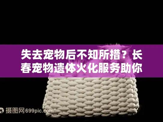失去宠物后不知所措？长春宠物遗体火化服务助你安葬爱宠