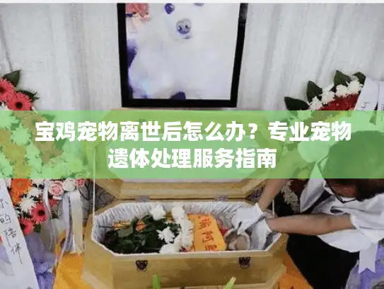 宝鸡宠物离世后怎么办？专业宠物遗体处理服务指南