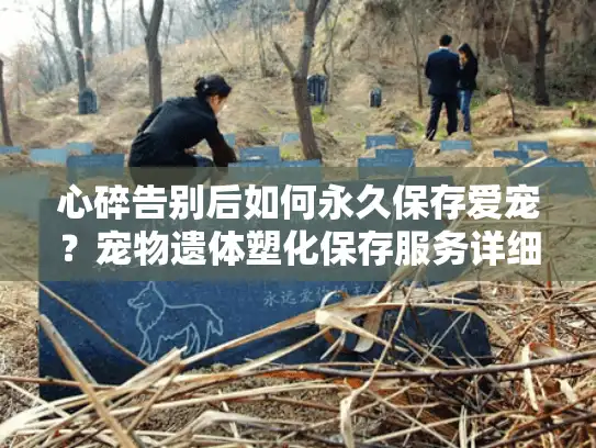 心碎告别后如何永久保存爱宠？宠物遗体塑化保存服务详细解析
