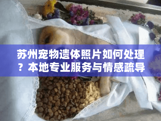 苏州宠物遗体照片如何处理？本地专业服务与情感疏导指南