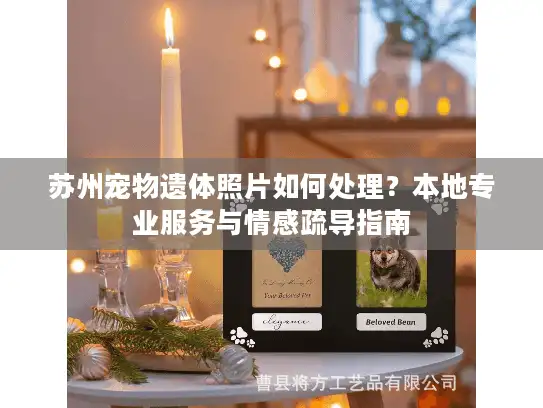 苏州宠物遗体照片如何处理？本地专业服务与情感疏导指南