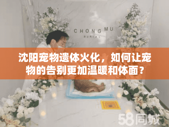 沈阳宠物遗体火化，如何让宠物的告别更加温暖和体面？
