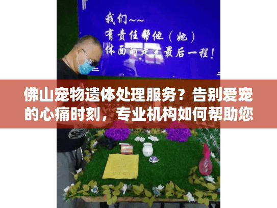 佛山宠物遗体处理服务？告别爱宠的心痛时刻，专业机构如何帮助您