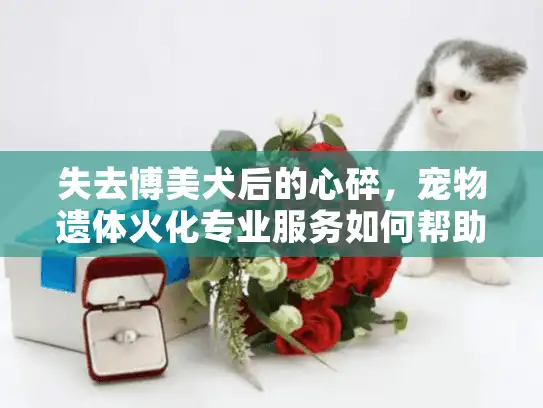 失去博美犬后的心碎，宠物遗体火化专业服务如何帮助您告别？