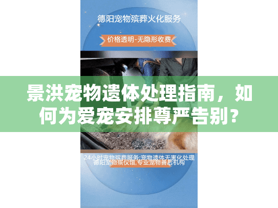 景洪宠物遗体处理指南，如何为爱宠安排尊严告别？