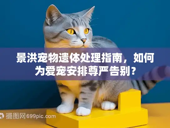 景洪宠物遗体处理指南，如何为爱宠安排尊严告别？