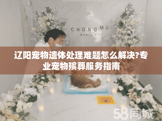辽阳宠物遗体处理难题怎么解决?专业宠物殡葬服务指南