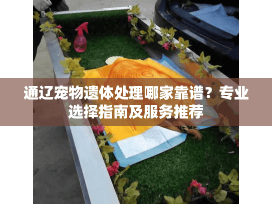 通辽宠物遗体处理哪家靠谱？专业选择指南及服务推荐