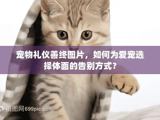 宠物礼仪善终图片，如何为爱宠选择体面的告别方式？