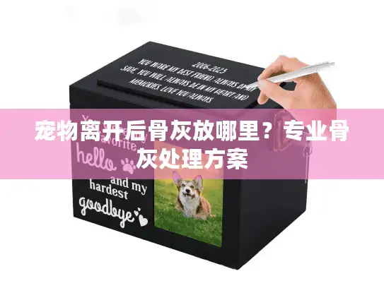宠物离开后骨灰放哪里?专业骨灰处理方案 宠物离开后骨灰放哪里?专业骨灰处理方案