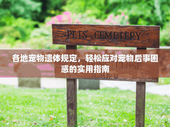 各地宠物遗体规定，轻松应对宠物后事困惑的实用指南