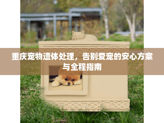 重庆宠物遗体处理,告别爱宠的安心方案与全程指南 重庆宠物遗体处理,告别爱宠的安心方案与全程指南