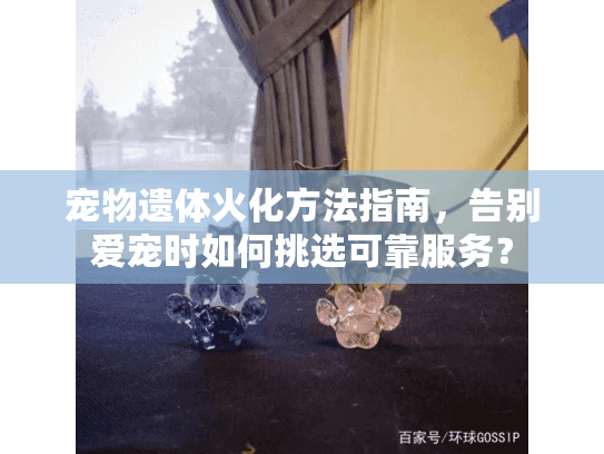 宠物遗体火化方法指南，告别爱宠时如何挑选可靠服务？