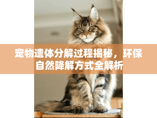 宠物遗体分解过程揭秘，环保自然降解方式全解析