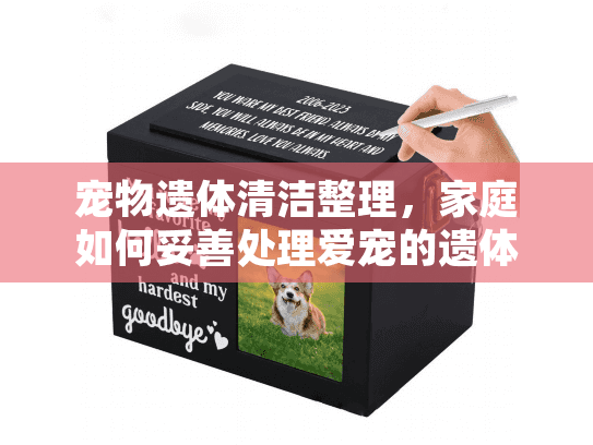 宠物遗体清洁整理，家庭如何妥善处理爱宠的遗体告别？