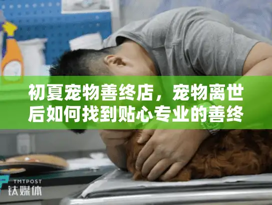 初夏宠物善终店，宠物离世后如何找到贴心专业的善终服务？
