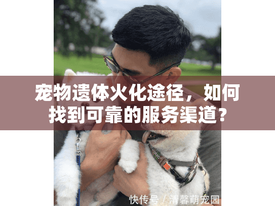 宠物遗体火化途径,如何找到可靠的服务渠道? 宠物遗体火化途径,如何找到可靠的服务渠道?