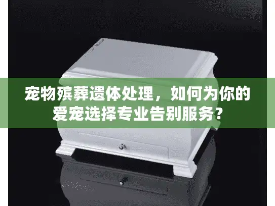 宠物殡葬遗体处理，如何为你的爱宠选择专业告别服务？