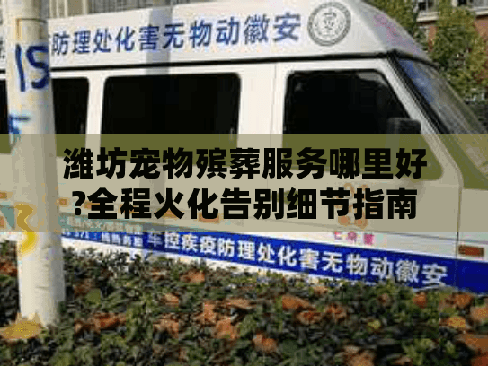 潍坊宠物殡葬服务哪里好?全程火化告别细节指南