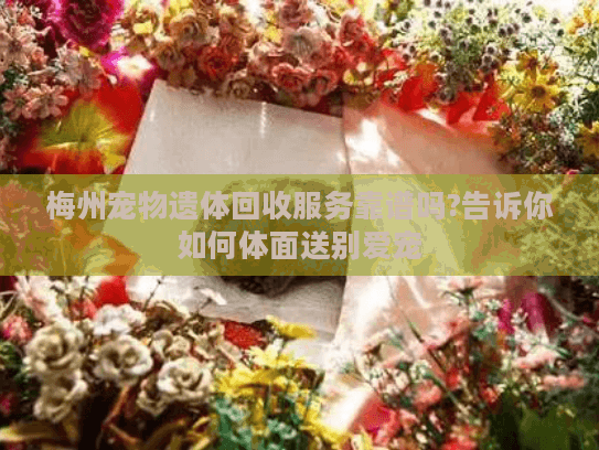 梅州宠物遗体回收服务靠谱吗?告诉你如何体面送别爱宠 梅州宠物遗体回收服务靠谱吗?告诉你如何体面送别爱宠