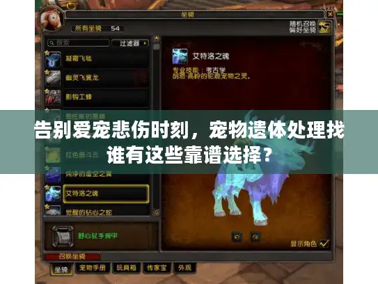 告别爱宠悲伤时刻,宠物遗体处理找谁有这些靠谱选择? 告别爱宠悲伤时刻,宠物遗体处理找谁有这些靠谱选择?