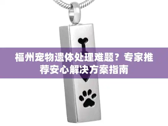 福州宠物遗体处理难题？专家推荐安心解决方案指南