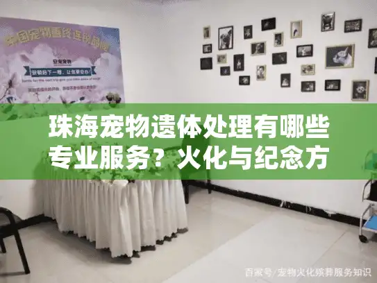 珠海宠物遗体处理有哪些专业服务?火化与纪念方案全解读 珠海宠物遗体处理有哪些专业服务?火化与纪念方案全解读