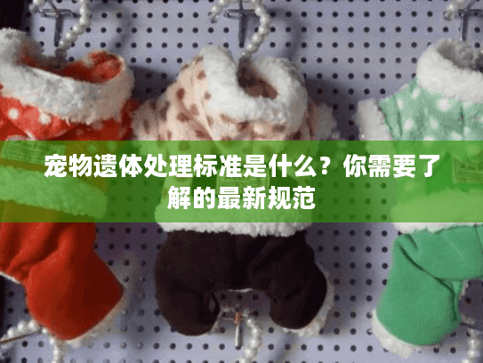 宠物遗体处理标准是什么?你需要了解的最新规范 宠物遗体处理标准是什么?你需要了解的最新规范