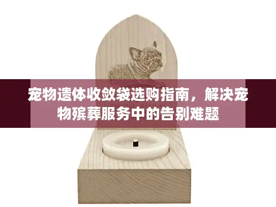 宠物遗体收敛袋选购指南，解决宠物殡葬服务中的告别难题