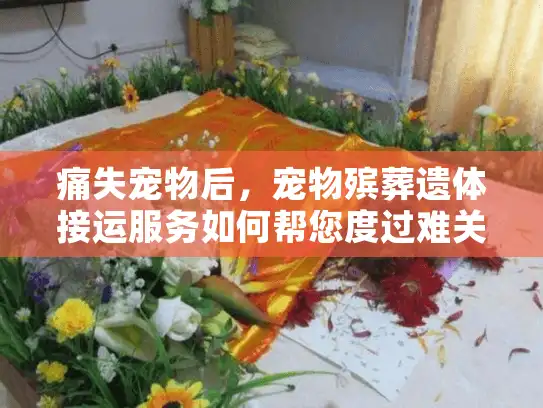 痛失宠物后,宠物殡葬遗体接运服务如何帮您度过难关? 痛失宠物后,宠物殡葬遗体接运服务如何帮您度过难关?