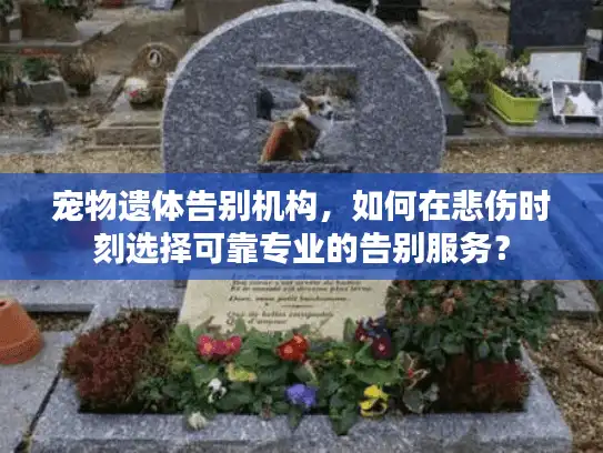 宠物遗体告别机构，如何在悲伤时刻选择可靠专业的告别服务？