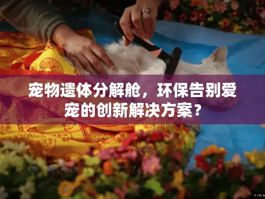 宠物遗体分解舱，环保告别爱宠的创新解决方案？