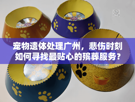 宠物遗体处理广州，悲伤时刻如何寻找最贴心的殡葬服务？