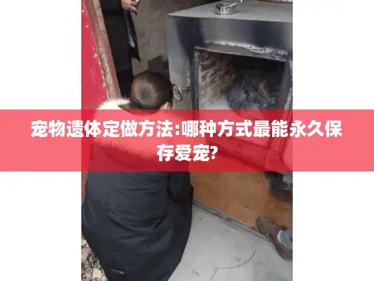 宠物遗体定做方法:哪种方式最能永久保存爱宠?